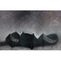 Лодки в ноща